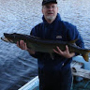 Meet your Posher, Paul